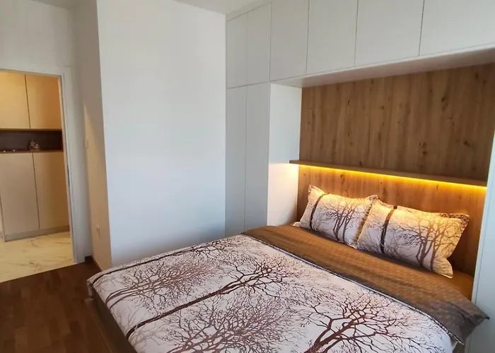 Gold 公寓 巴尼西卢卡